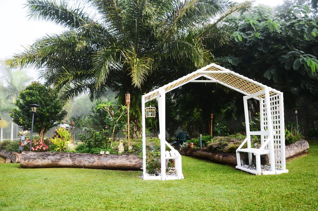 Ronday-Voo Bed And Breakfast Speewah Ruang foto
