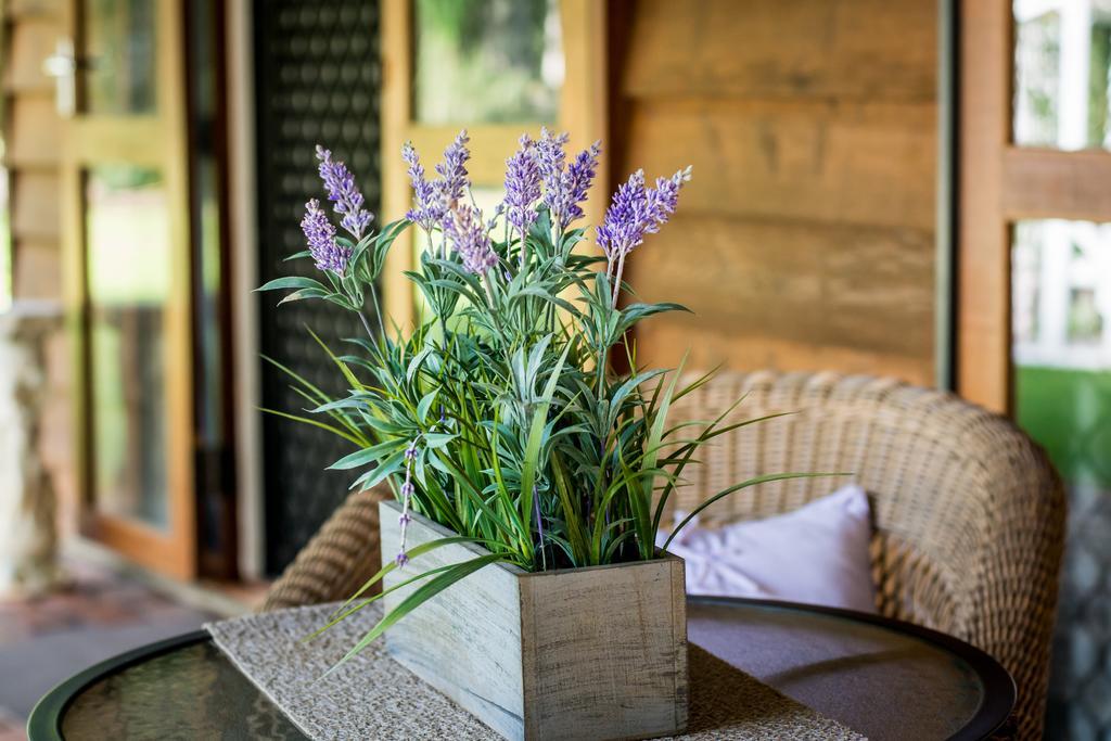 Ronday-Voo Bed And Breakfast Speewah Bagian luar foto